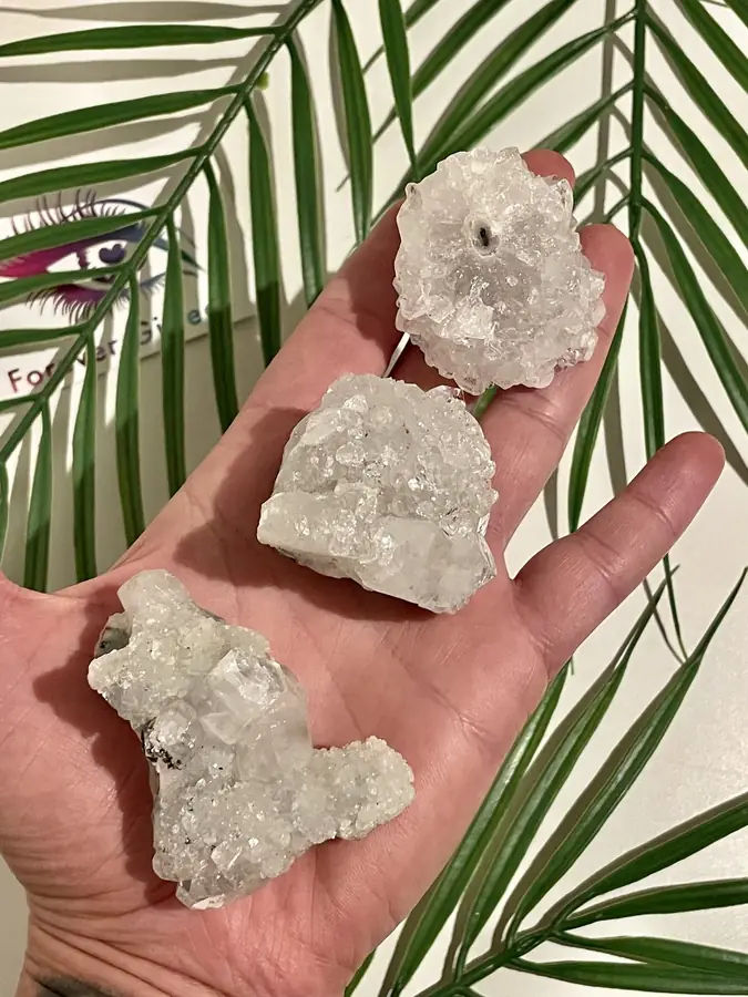 Apophyllite clusters, held in the hand